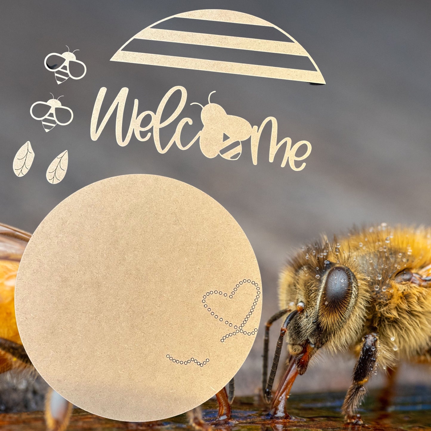 Bee Welcome DIY Laser Cut Wood Sign Craft Paint Kit