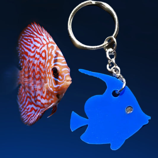 Fish Laser Cut Lightweight Acrylic Keychains- Multiple Colors
