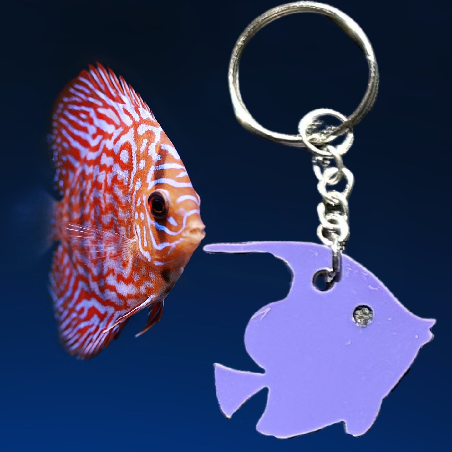 Fish Laser Cut Lightweight Acrylic Keychains- Multiple Colors