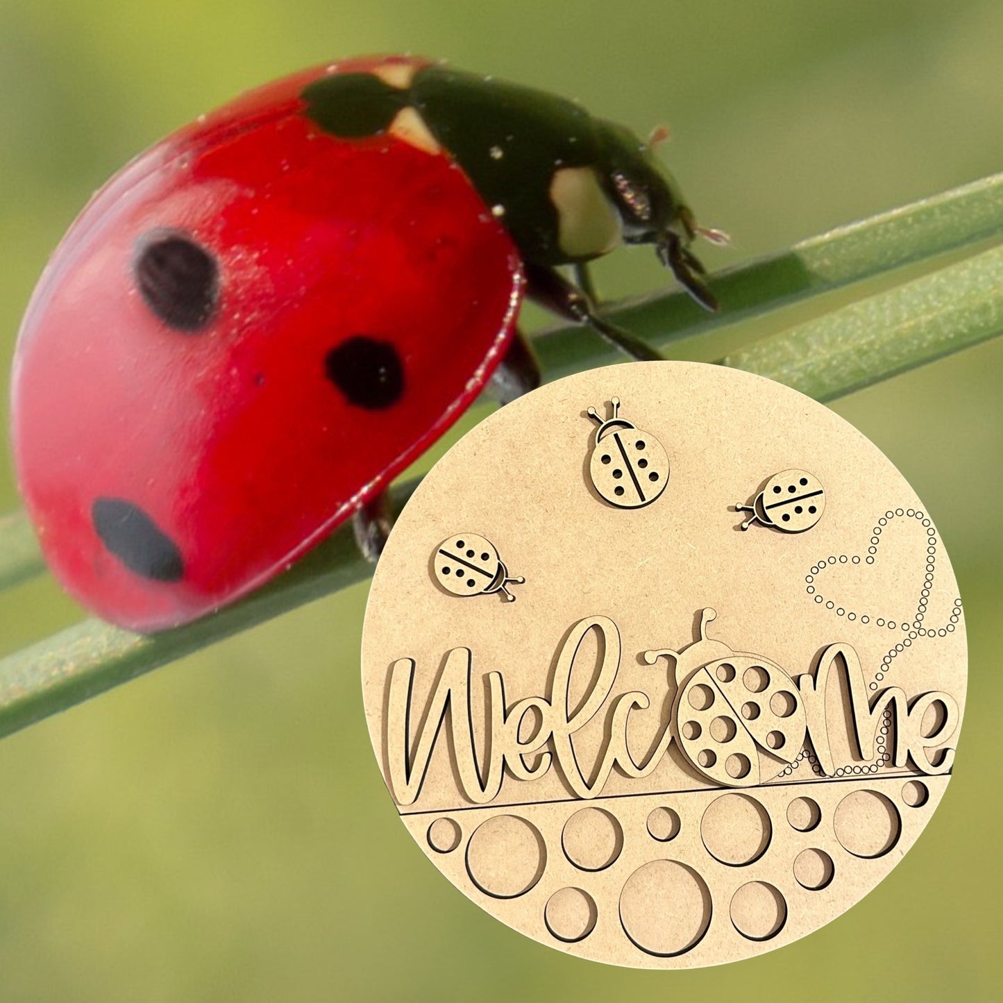 Ladybug Welcome DIY Laser Cut Wood Sign Craft Paint Kit