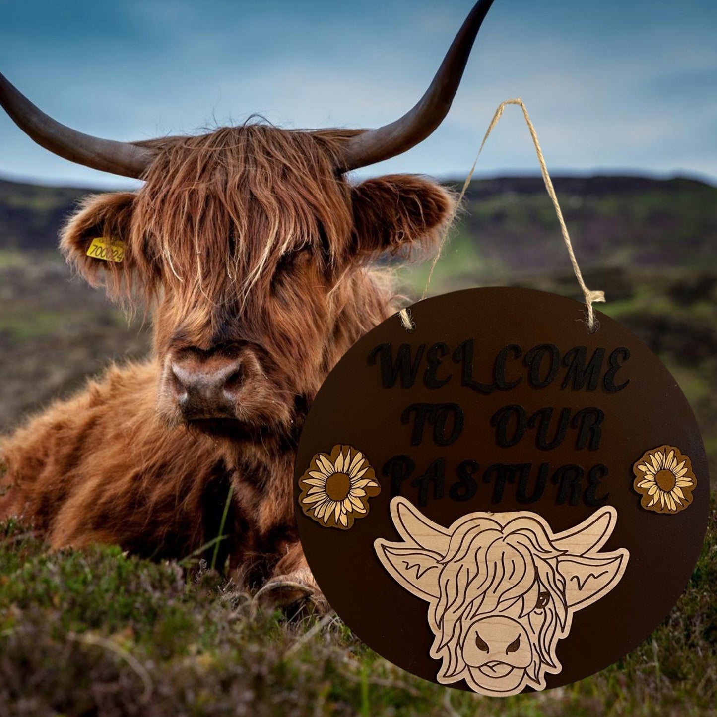 Welcome To Our Pasture Highland Cow Lightweight Painted Wood Sign
