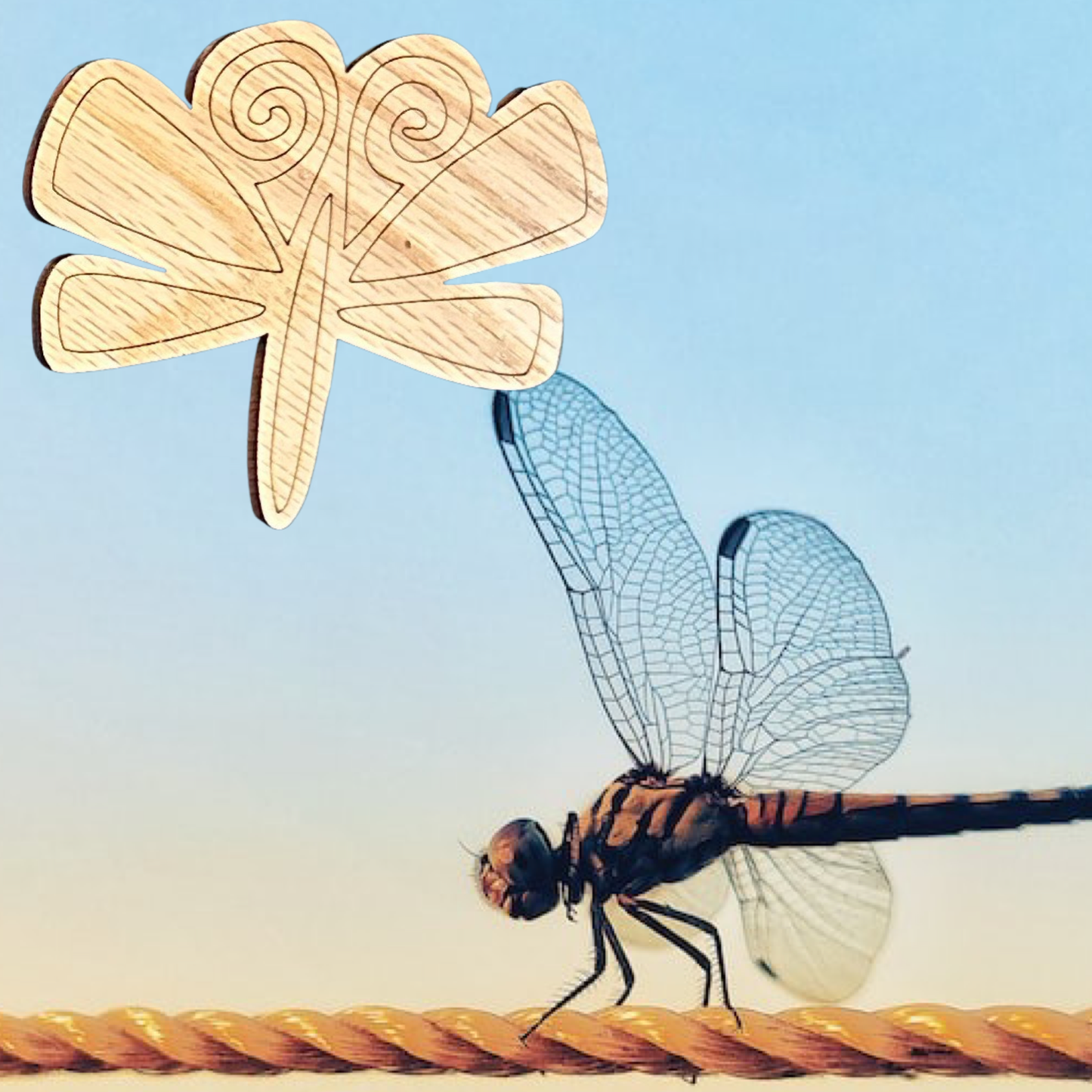 Whimsical Dragonfly Laser Cut Lightweight Wood Magnets Set of 3