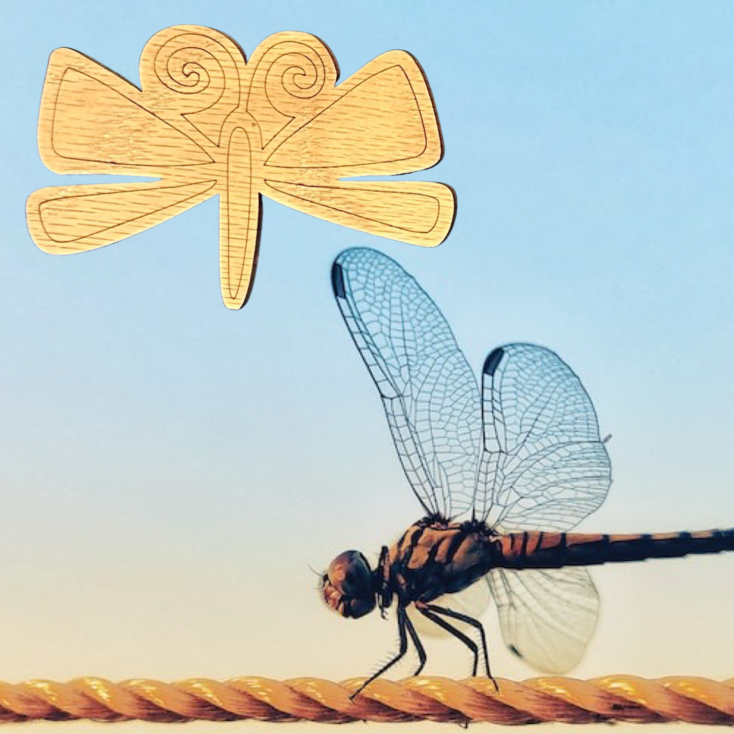 Whimsical Dragonfly Laser Cut Lightweight Wood Magnets Set of 3